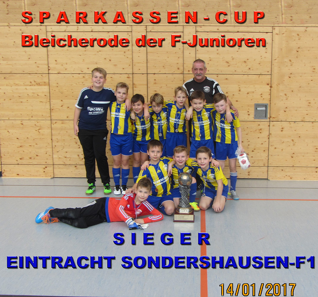 20170115100105_170114_Hallenturnier_06.jpg
