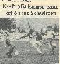 Bild vergrössern