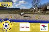 Bild vergrössern