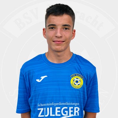 Sander