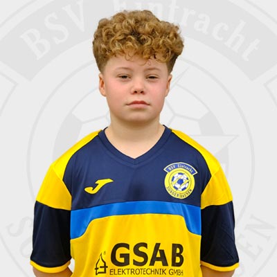 Hanisch