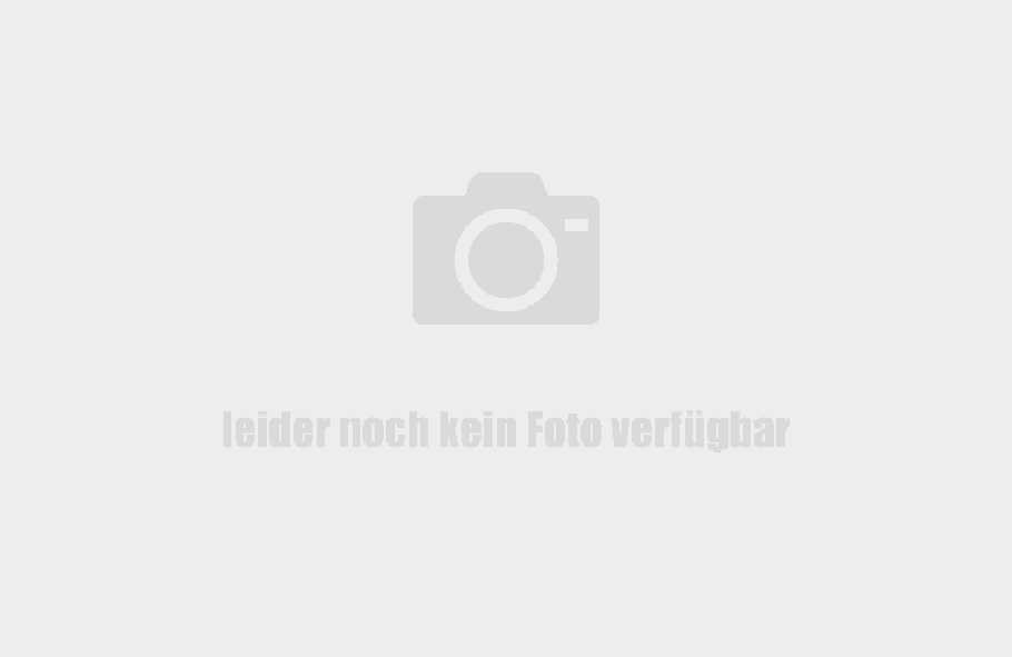 Mannschaftsfoto